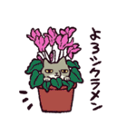 ダジャレ！チベットスナギツネ（個別スタンプ：22）