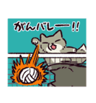 ダジャレ！チベットスナギツネ（個別スタンプ：33）