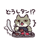 ダジャレ！チベットスナギツネ（個別スタンプ：37）