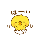 ひよこのピッピ_ 応援スタンプ（個別スタンプ：1）