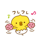 ひよこのピッピ_ 応援スタンプ（個別スタンプ：5）