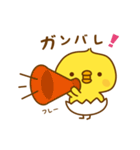 ひよこのピッピ_ 応援スタンプ（個別スタンプ：6）