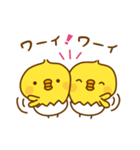 ひよこのピッピ_ 応援スタンプ（個別スタンプ：12）