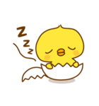 ひよこのピッピ_ 応援スタンプ（個別スタンプ：16）