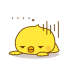 ひよこのピッピ_ 応援スタンプ（個別スタンプ：24）