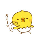 ひよこのピッピ_ 応援スタンプ（個別スタンプ：27）