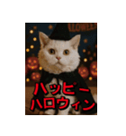 ネッコさんのおスタンプ9（個別スタンプ：1）