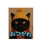 ネッコさんのおスタンプ9（個別スタンプ：3）