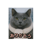 ネッコさんのおスタンプ9（個別スタンプ：14）