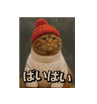 ネッコさんのおスタンプ9（個別スタンプ：23）