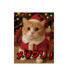 ネッコさんのおスタンプ9（個別スタンプ：24）