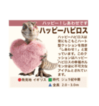 架空恐竜ダイナソー図鑑（個別スタンプ：7）