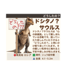 架空恐竜ダイナソー図鑑（個別スタンプ：30）