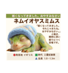 架空恐竜ダイナソー図鑑（個別スタンプ：39）