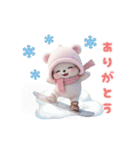 動く！ニットが可愛い こぐま達 日常 冬（個別スタンプ：11）