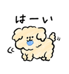 犬と暮らす家族の毎日使える連絡用スタンプ（個別スタンプ：10）