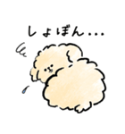 犬と暮らす家族の毎日使える連絡用スタンプ（個別スタンプ：13）