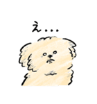 犬と暮らす家族の毎日使える連絡用スタンプ（個別スタンプ：24）