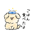 犬と暮らす家族の毎日使える連絡用スタンプ（個別スタンプ：30）