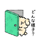 犬と暮らす家族の毎日使える連絡用スタンプ（個別スタンプ：37）