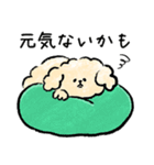 犬と暮らす家族の毎日使える連絡用スタンプ（個別スタンプ：39）