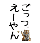 老眼でも見える虎【関西弁】3（個別スタンプ：1）