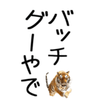 老眼でも見える虎【関西弁】3（個別スタンプ：3）