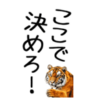 老眼でも見える虎【関西弁】3（個別スタンプ：8）