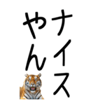 老眼でも見える虎【関西弁】3（個別スタンプ：14）