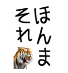 老眼でも見える虎【関西弁】3（個別スタンプ：15）