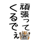 老眼でも見える虎【関西弁】3（個別スタンプ：17）