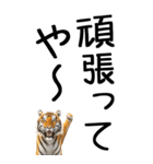 老眼でも見える虎【関西弁】3（個別スタンプ：18）