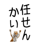 老眼でも見える虎【関西弁】3（個別スタンプ：19）