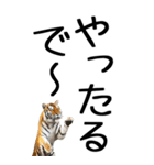 老眼でも見える虎【関西弁】3（個別スタンプ：20）