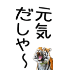 老眼でも見える虎【関西弁】3（個別スタンプ：21）