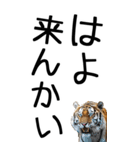 老眼でも見える虎【関西弁】3（個別スタンプ：23）