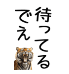 老眼でも見える虎【関西弁】3（個別スタンプ：24）