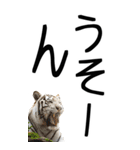 老眼でも見える虎【関西弁】3（個別スタンプ：26）