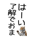 老眼でも見える虎【関西弁】3（個別スタンプ：28）