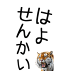 老眼でも見える虎【関西弁】3（個別スタンプ：33）