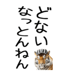 老眼でも見える虎【関西弁】3（個別スタンプ：35）
