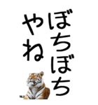 老眼でも見える虎【関西弁】3（個別スタンプ：36）