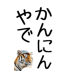 老眼でも見える虎【関西弁】3（個別スタンプ：37）