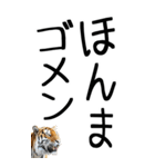老眼でも見える虎【関西弁】3（個別スタンプ：38）