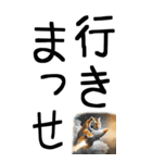 老眼でも見える虎【関西弁】3（個別スタンプ：39）