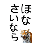 老眼でも見える虎【関西弁】3（個別スタンプ：40）