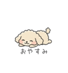 クレヨン画トイプー アプリコット(日常会話（個別スタンプ：2）