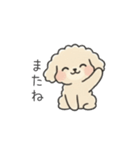 クレヨン画トイプー アプリコット(日常会話（個別スタンプ：3）