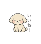 クレヨン画トイプー アプリコット(日常会話（個別スタンプ：4）