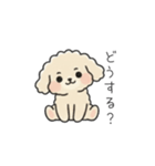 クレヨン画トイプー アプリコット(日常会話（個別スタンプ：5）